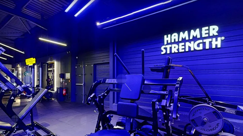 Illustration Fitness Park : Abdominal Crunch Hammer (plate loaded)