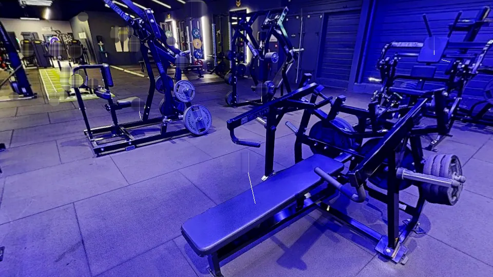 Illustration Fitness Park : Chest Press assistée Hammer (plate loaded)
