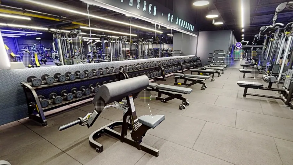 Illustration Fitness Park : Pupitre à biceps (Preacher Curl Bench)