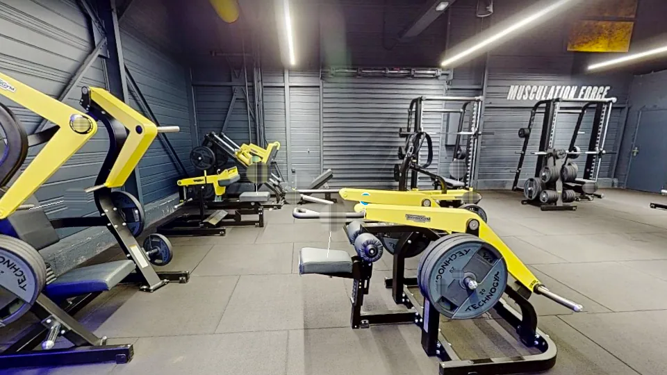 Illustration Fitness Park : Triceps Press Pure Strength (Technogym)